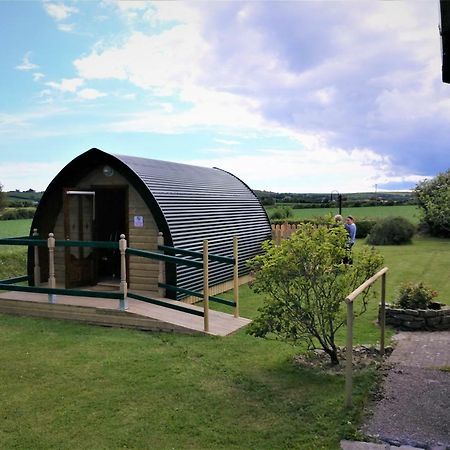 Shanagarry / Ballycotton Glamping Pod Cork Exterior photo